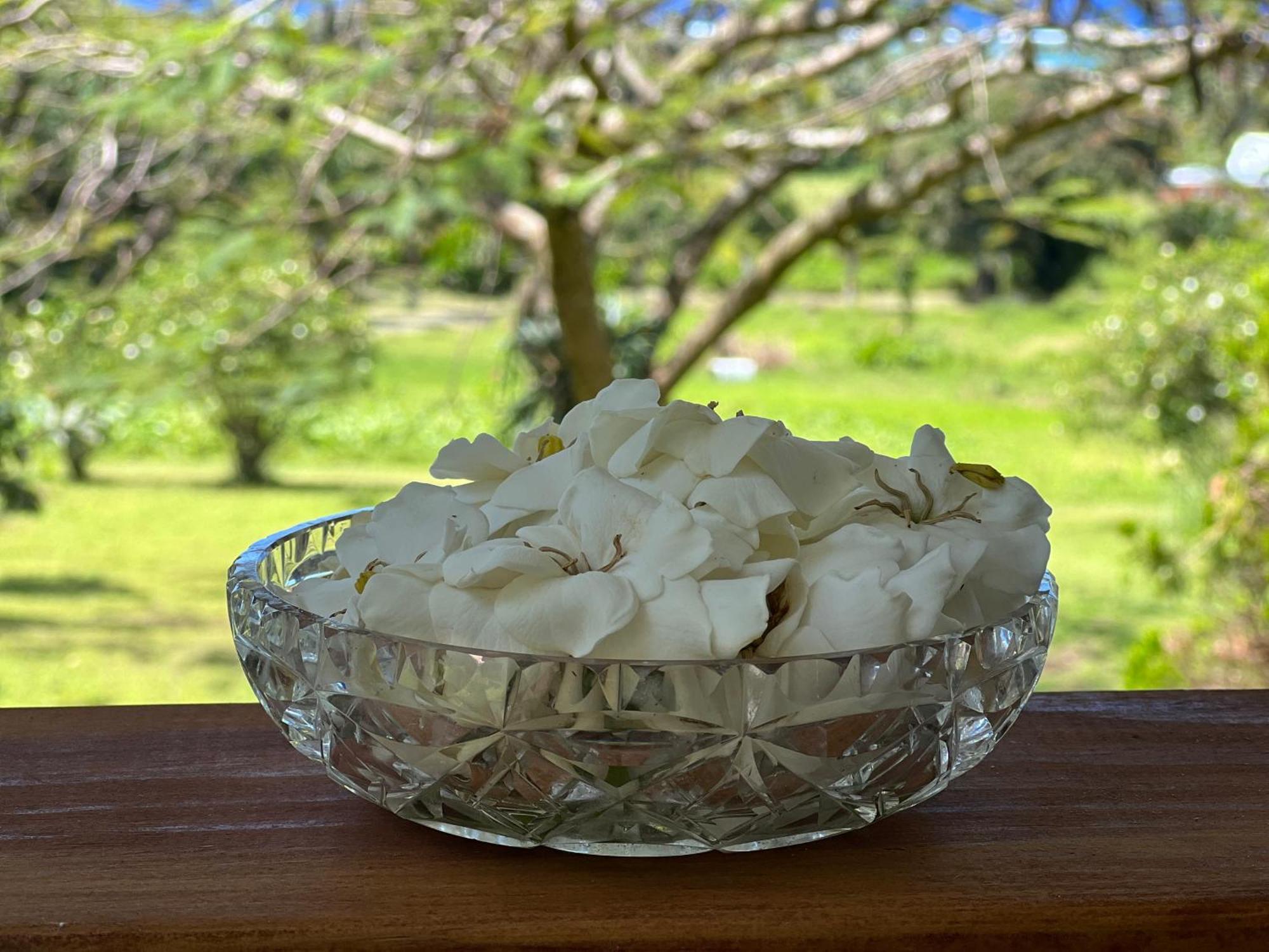 Avocado Retreat Villa Rarotonga Luaran gambar